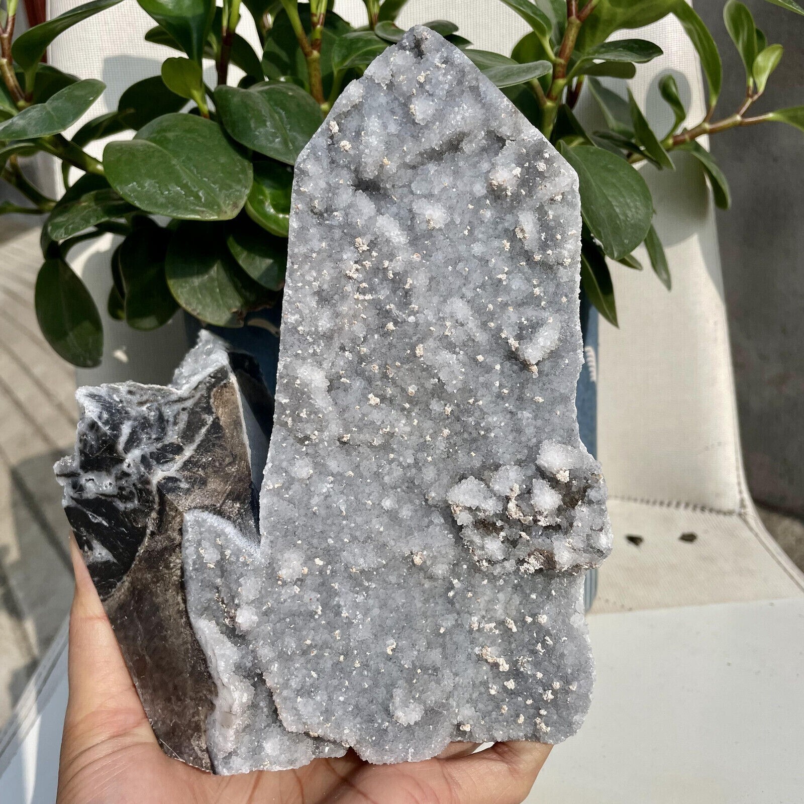 4.1 LB Natural 7.5\