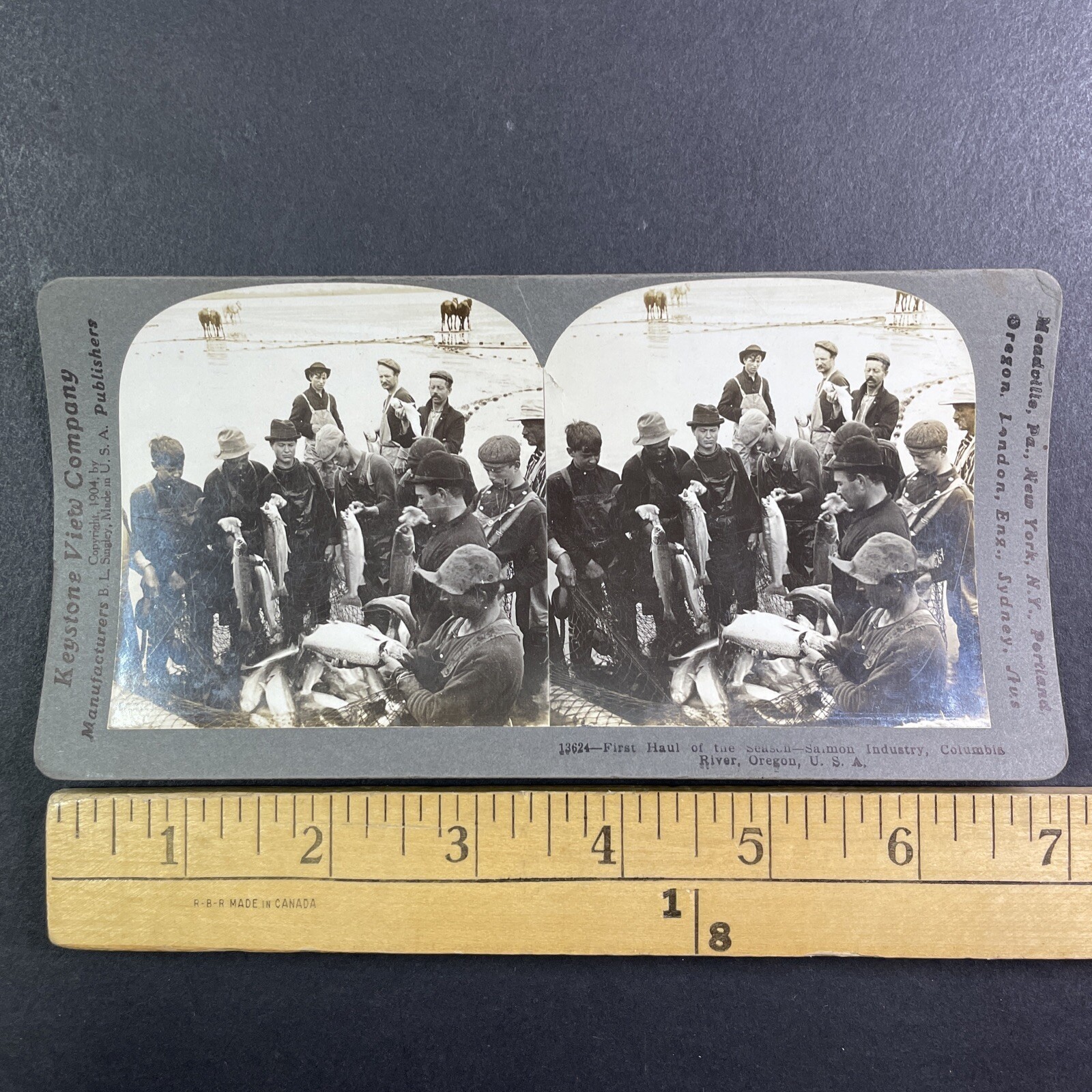 Salmon Industry Stereoview Keystone View Co. 1904 Columbia River Oregon