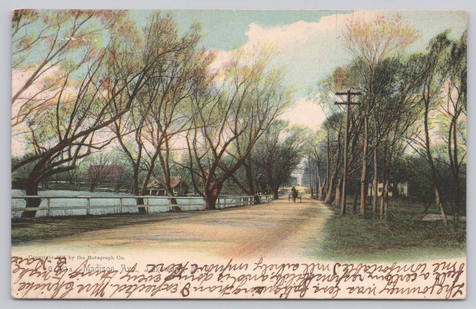 Lakewood NJ Madison Ave Tree Lined Lane Pond Horse Buggy 1907 Rotograph Postcard