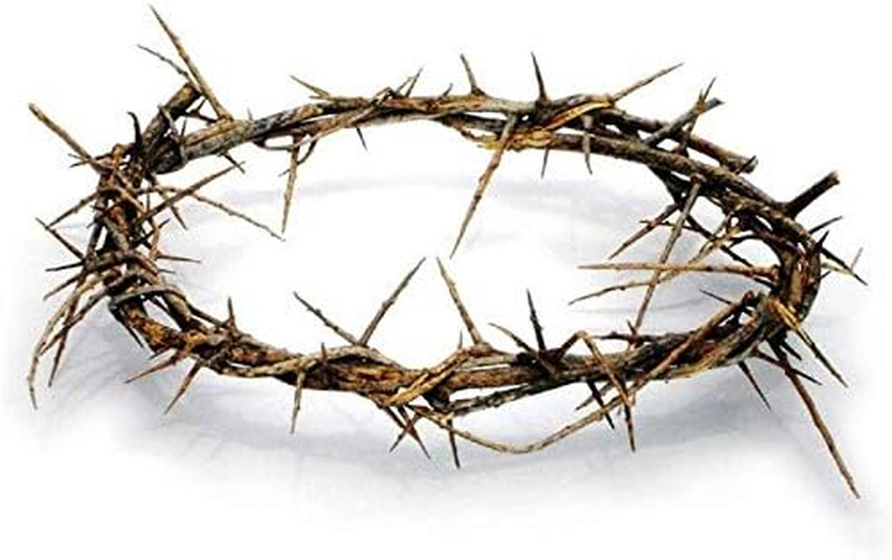 Authentic Biblical 8\