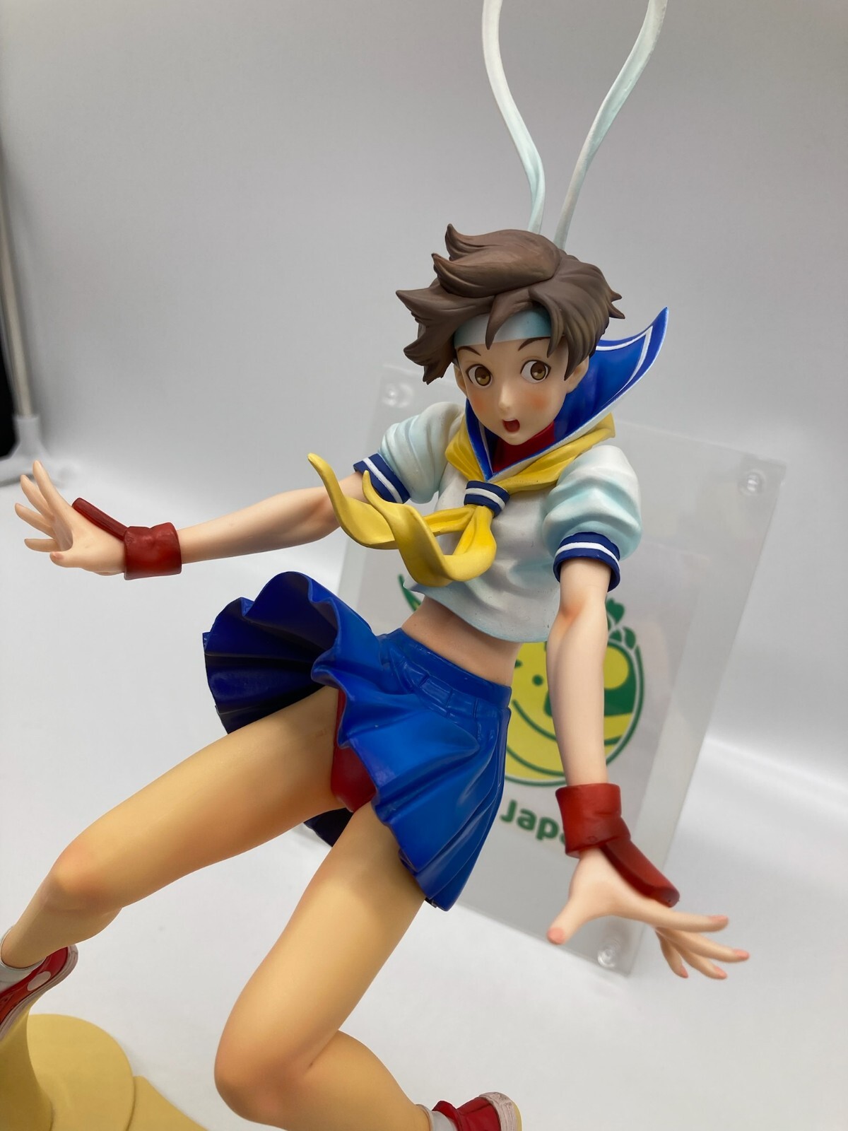 Sakura Nishimura Kinu Collection Street Fighter Girl-Fighting 1/6 Scale Figure