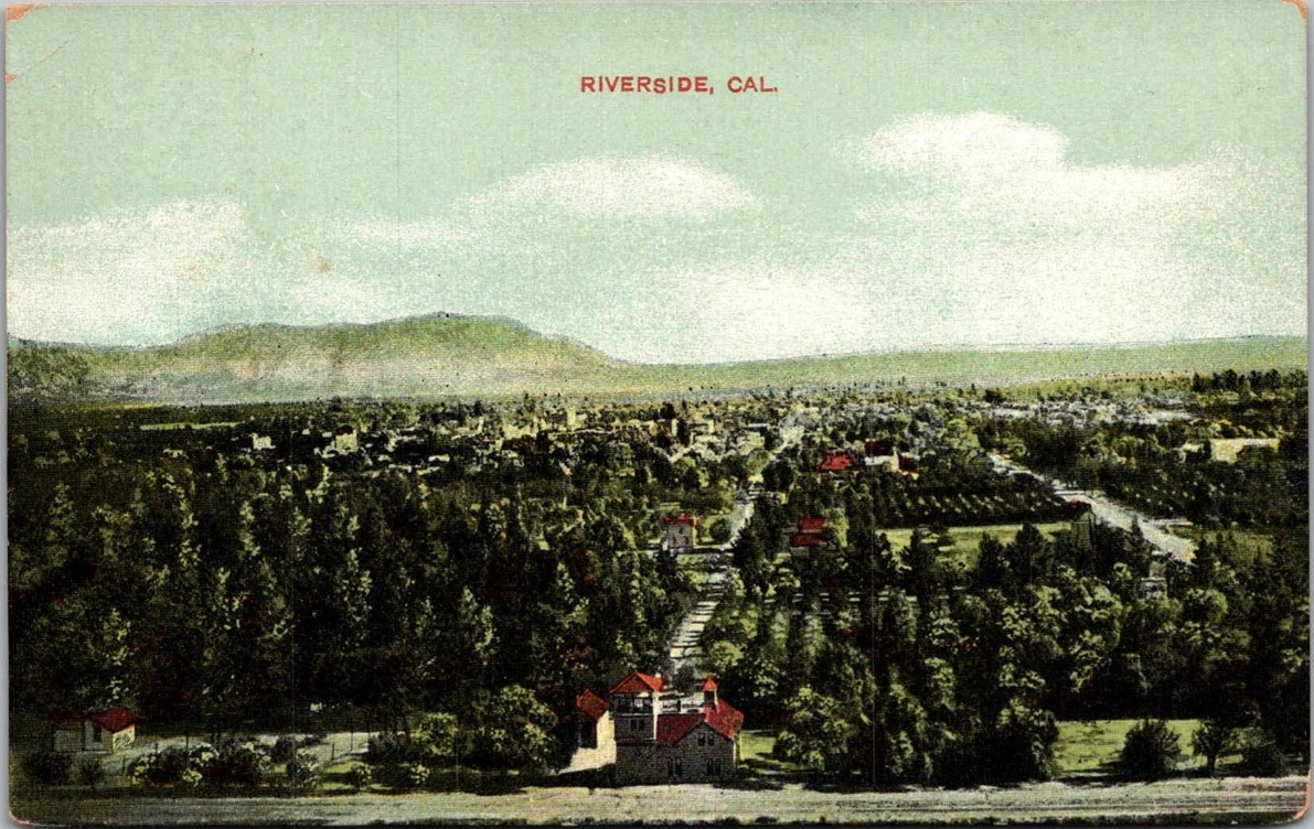 c1908 Birdseye View Riverside California CA American News Co. Postcard