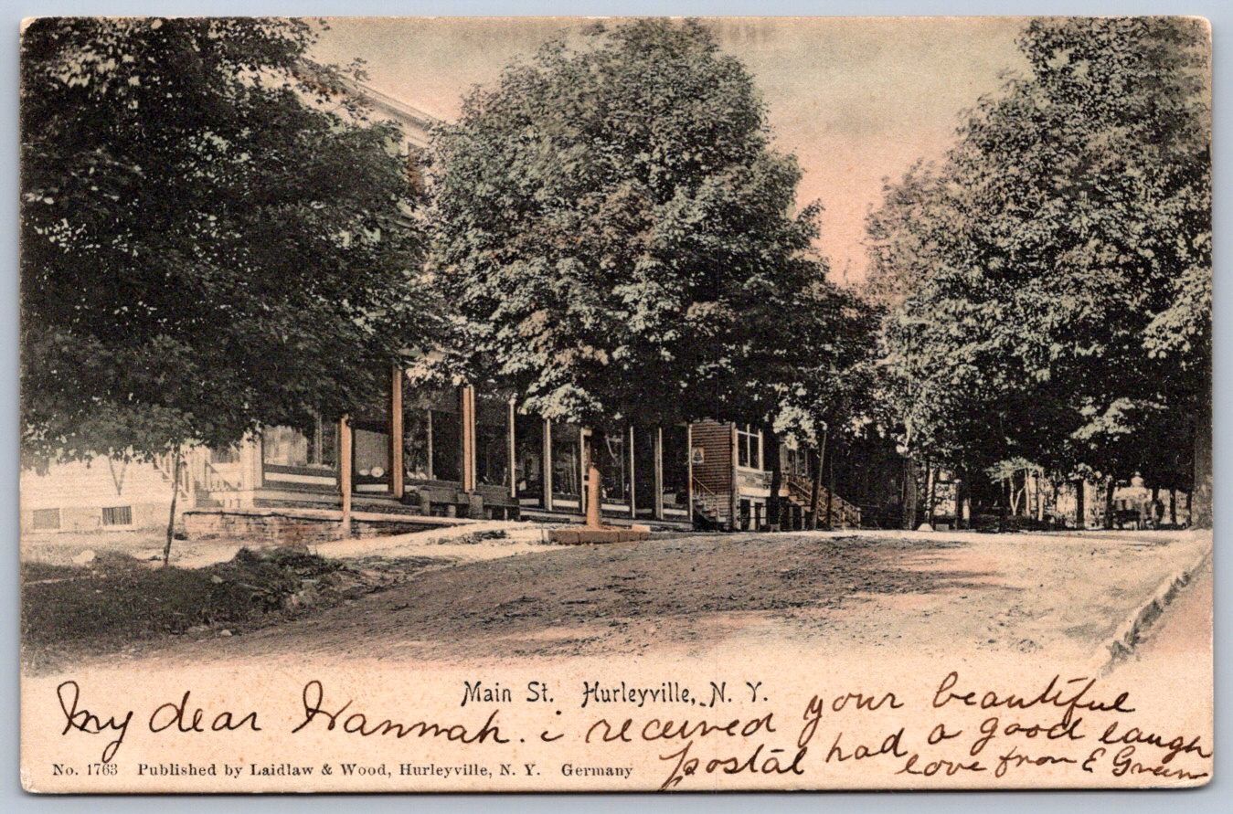 K50/ Hurleyville New York Postcard c1910 Main Street Homes 417