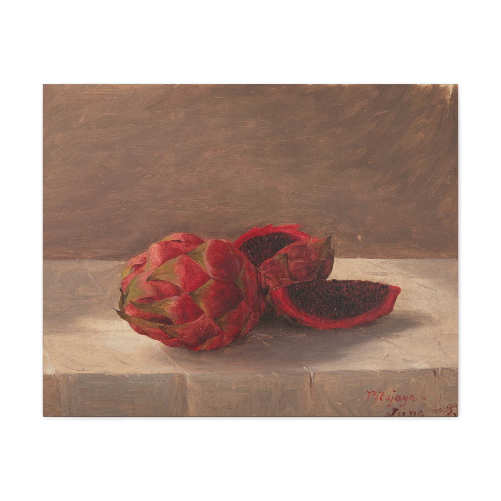 Frederic Edwin Church, American, - Pitajaya Fruit, Colombia - Canvas Wall Art