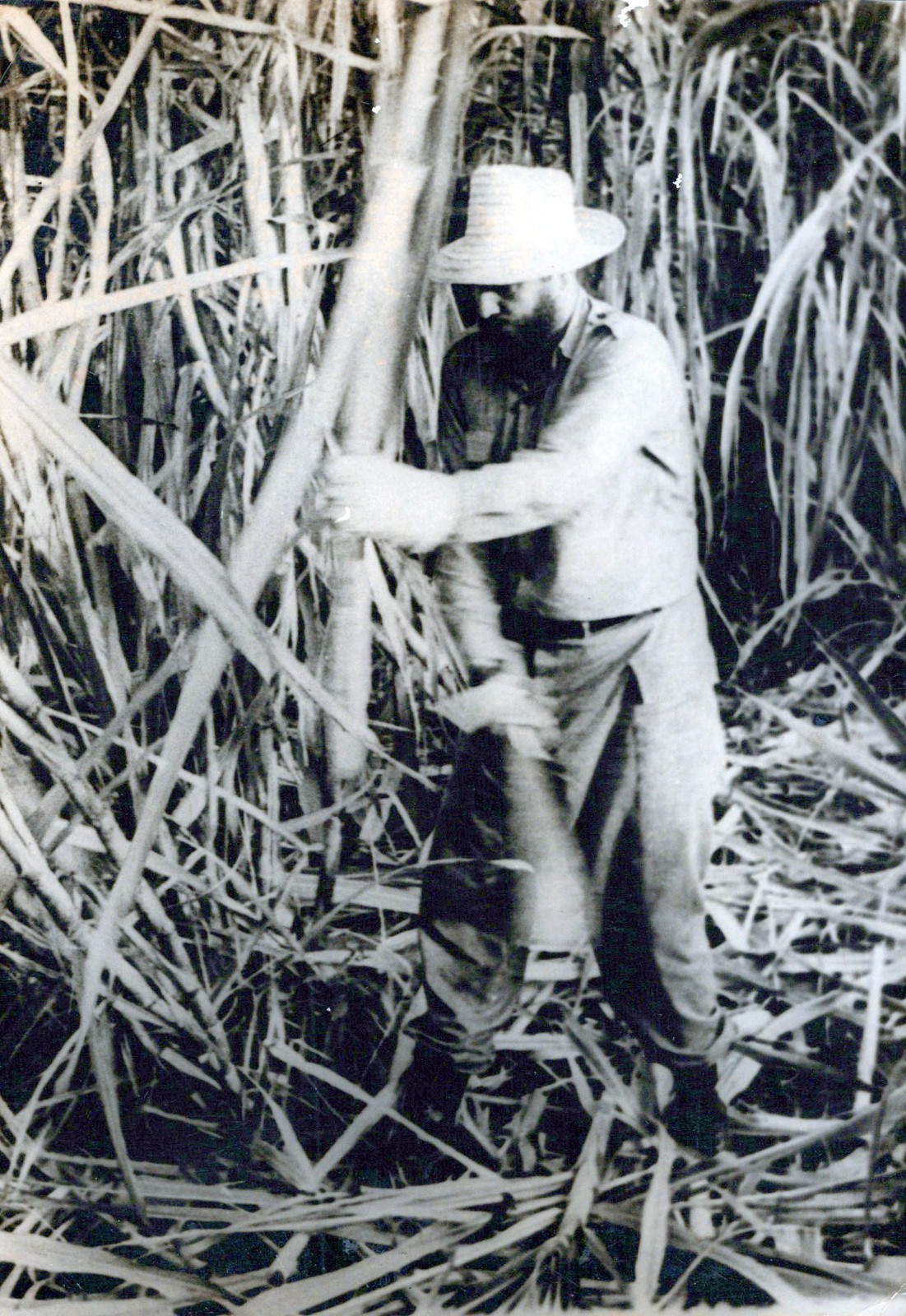 CUBAN CUBA FIDEL CASTRO SUGAR CANE PORTRAIT ALBERTO KORDA 1960s ORIG PHOTO 541