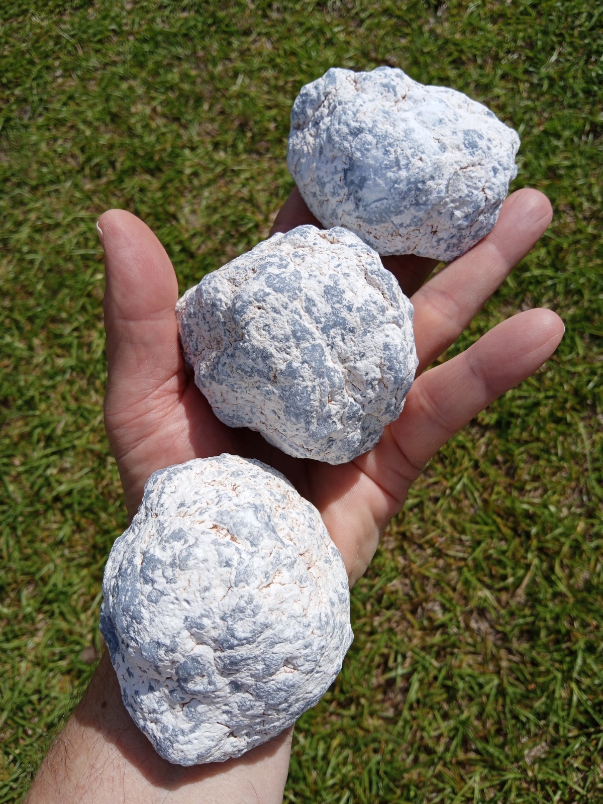 3 Large Nice Rough Blue Angelite 😇 Nodules Specimens Almost 3 Pounds W4
