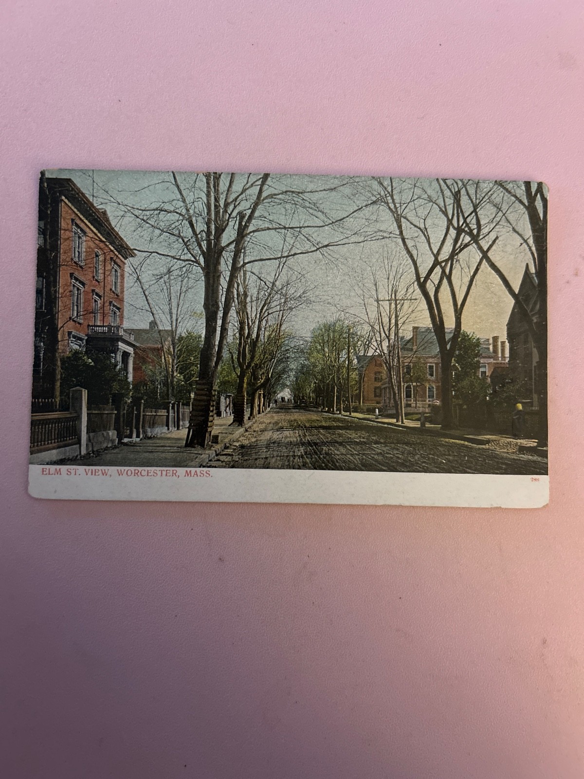 Elm st view, Worcester MA