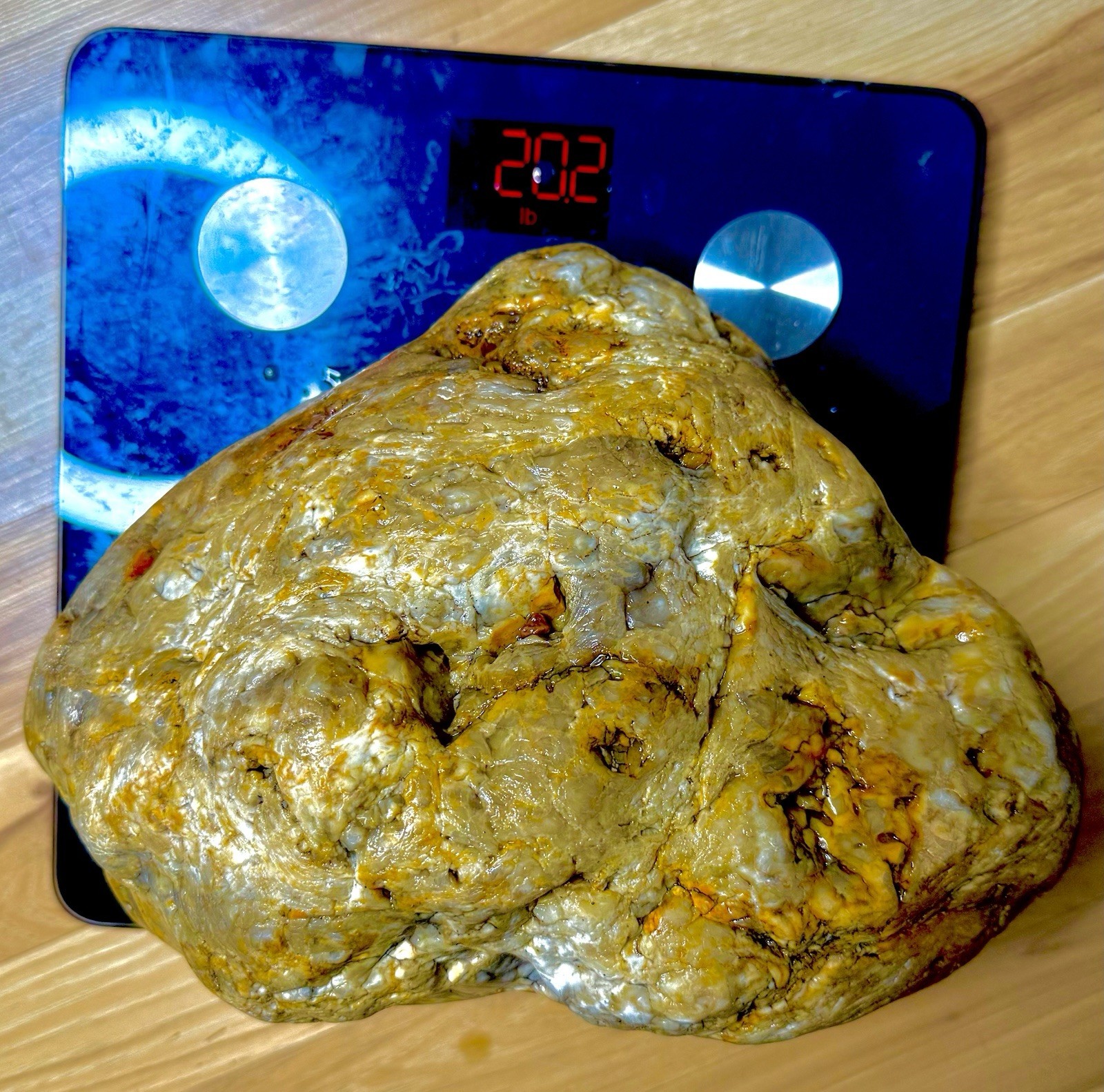 Massive Treasure State Montana Yellowstone Moss Agate 20.2 Lbs 46,864 Carats
