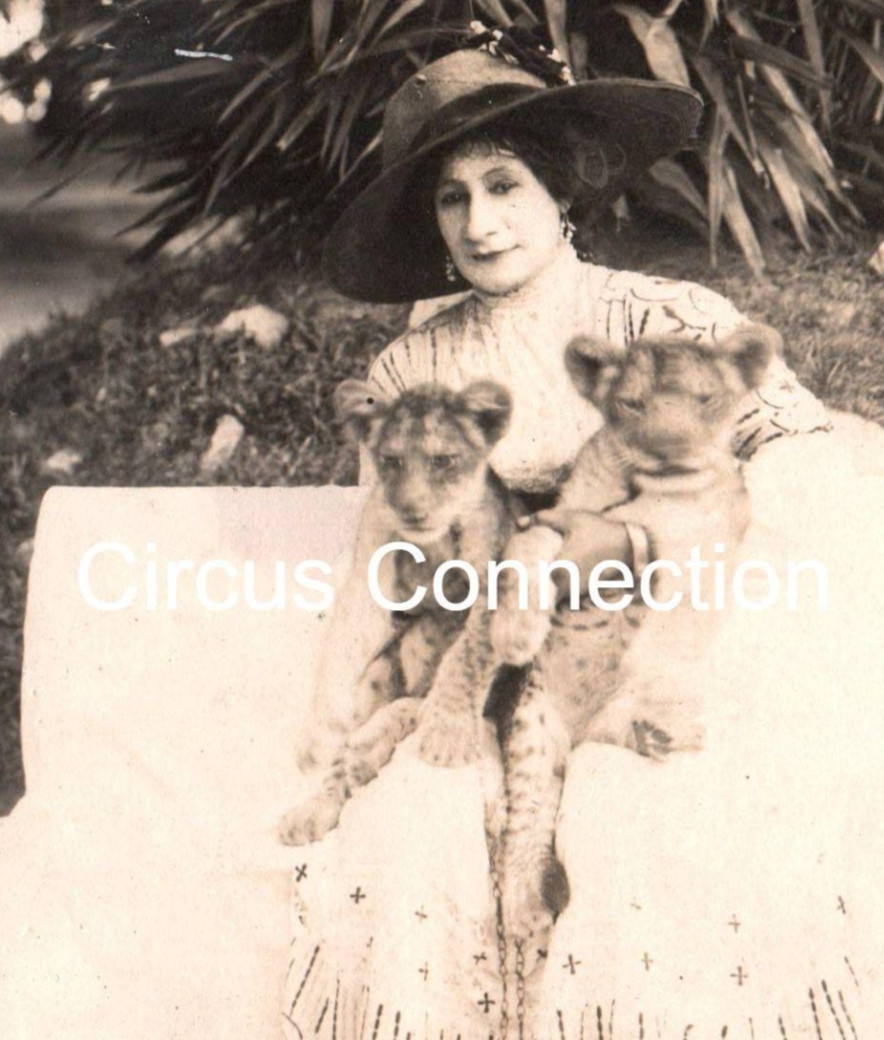 C1910's - Barnum & Bailey Circus Magie and Her Baby Lions RPPC - L2A