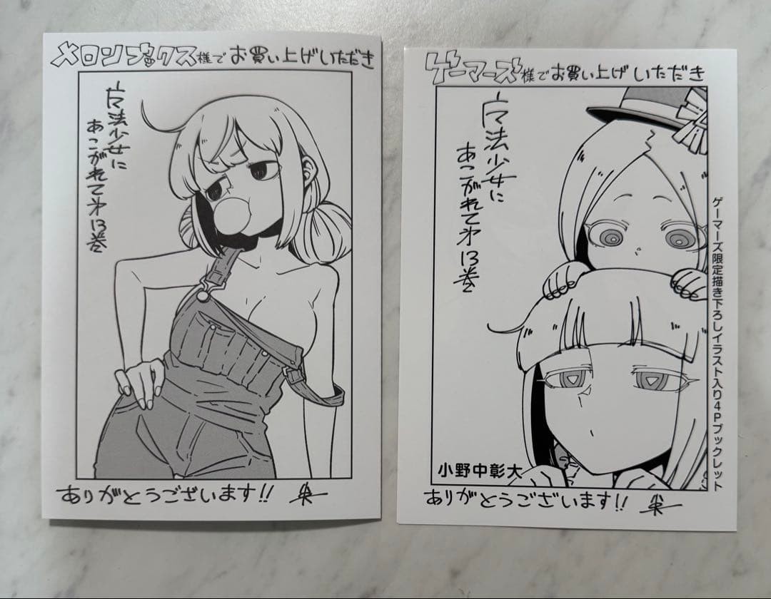 Gushing over Magical Girls 13th Volume Gamers Melonbooks Bonus Booklet