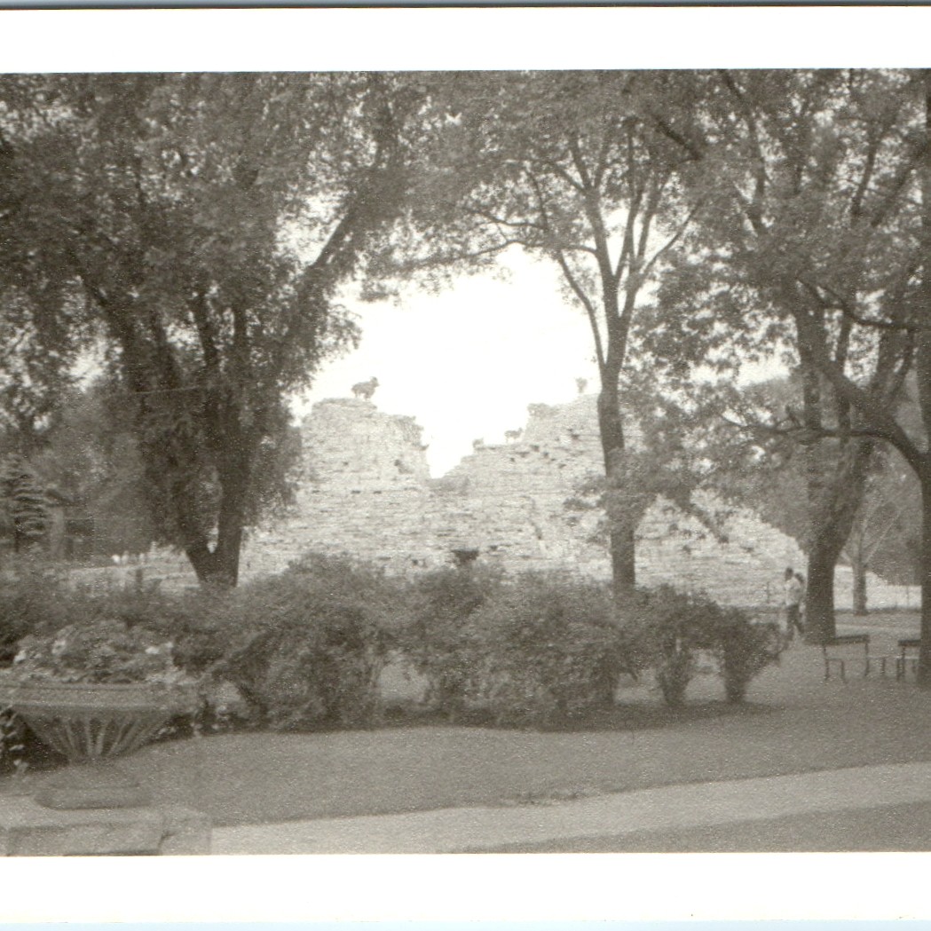 c1940s Unknown Location Zoo Mountain Goats Stone Ruins 5\
