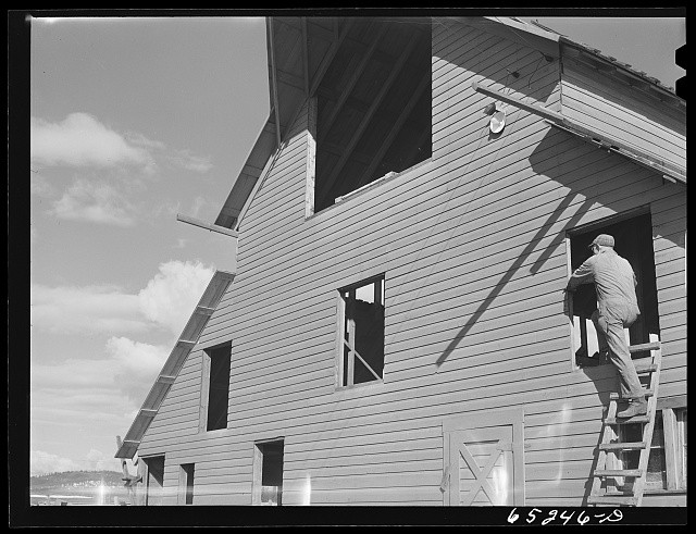 Flathead Valley Montana 1942 Milton Stiles barn construction FSA borrower
