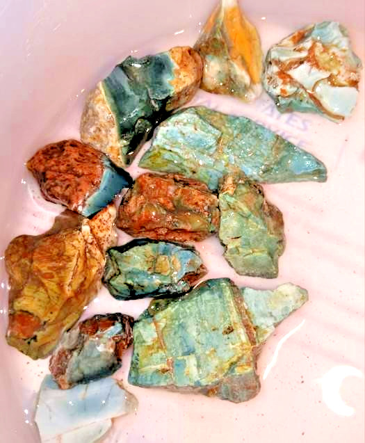 218g Lot = 12x Oregon Skaggs Green Jasper Chunks Lapidary Rough Tumbler SKG#002