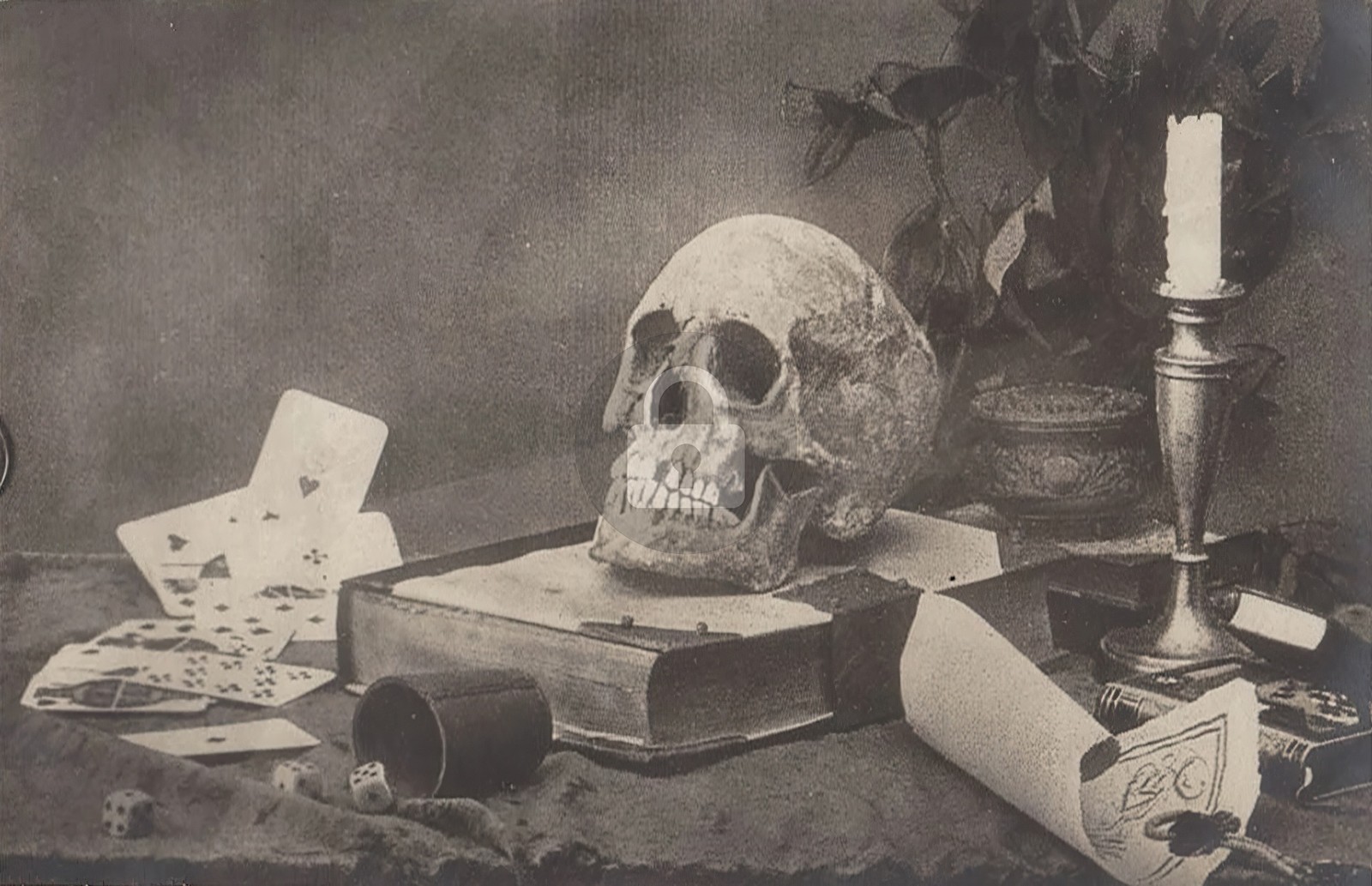 1920s skull memento mori still life RPPC Photo Postcard COPY