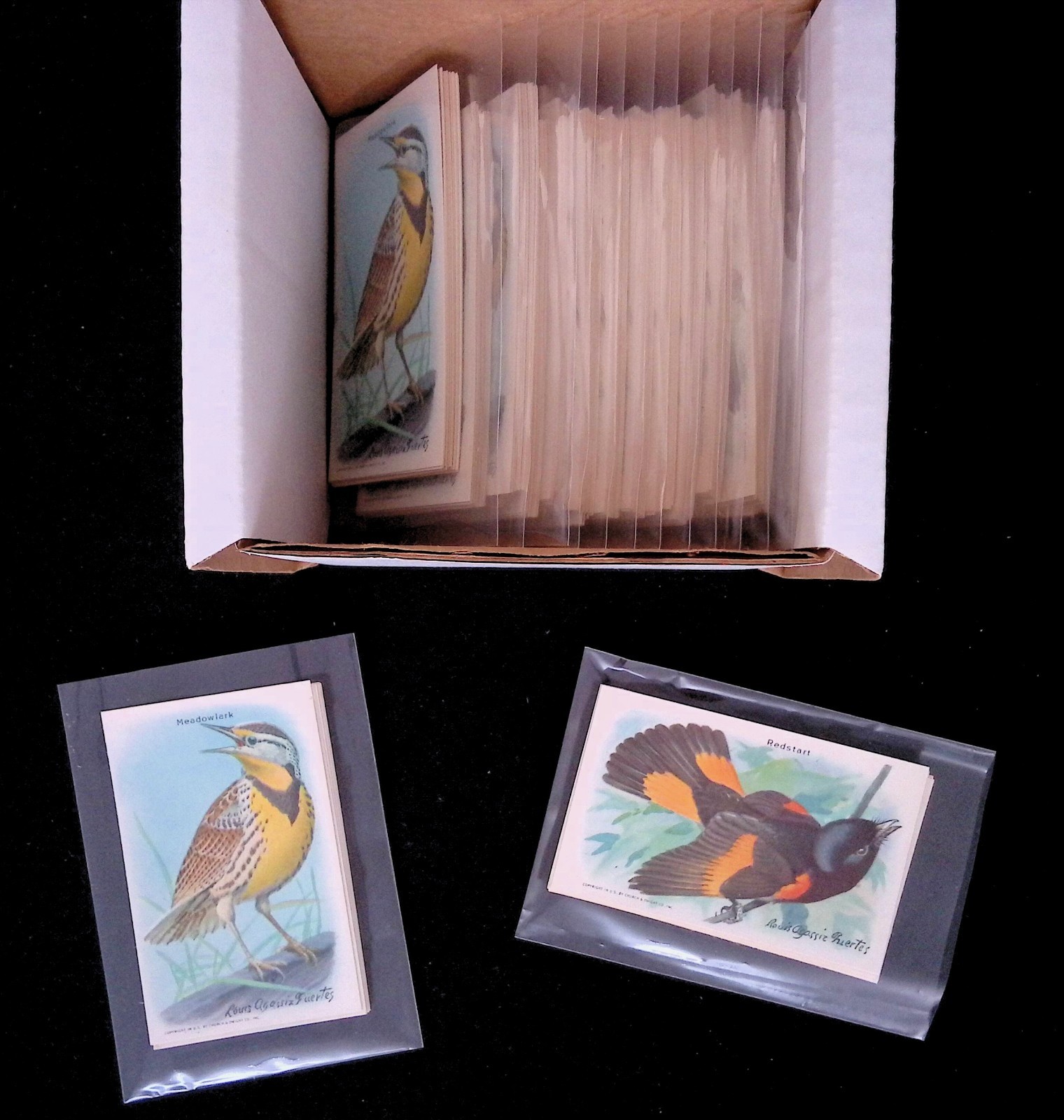 (15) 1938 Church & Dwight \'Useful Birds of America\' 2 Sets, ~NM+ *SEWALL*