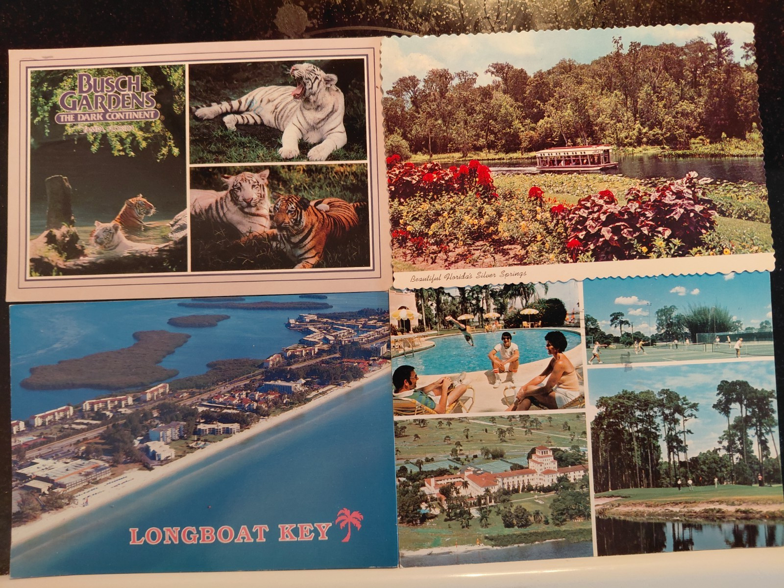 1100 mixed US states postcard lot continental size colorful topics