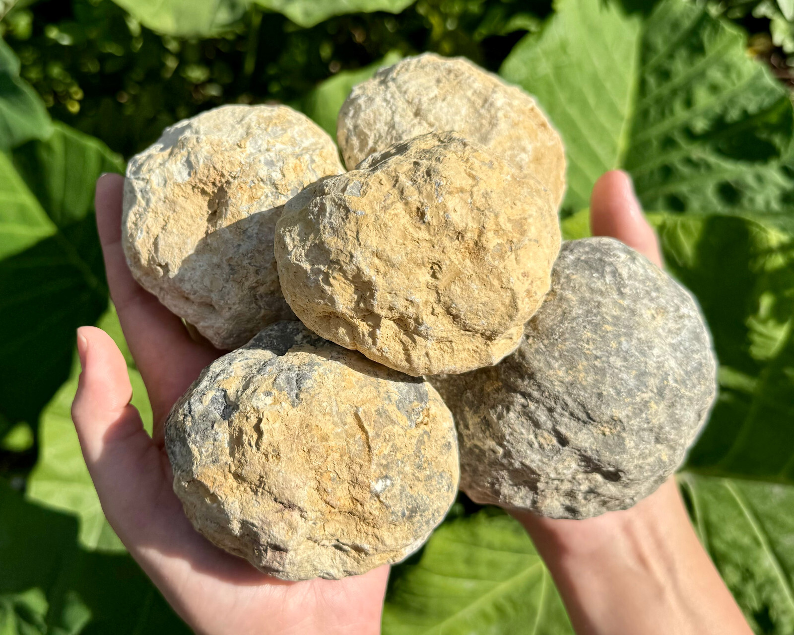 JUMBO Break Your Own Geodes Wholesale Lots - Unopened Moroccan Quartz Crystals