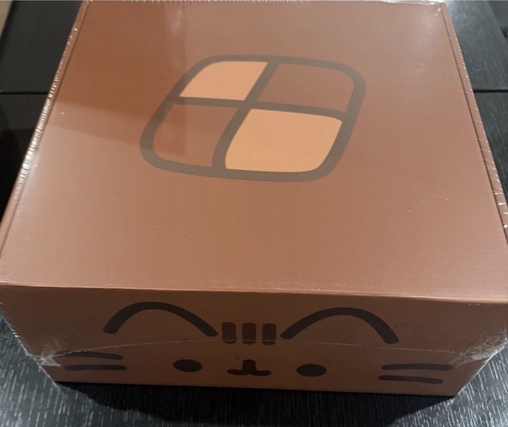 NEW Sealed Pusheen Box Summer 2025 Sweet Treats NIB Size XS Small