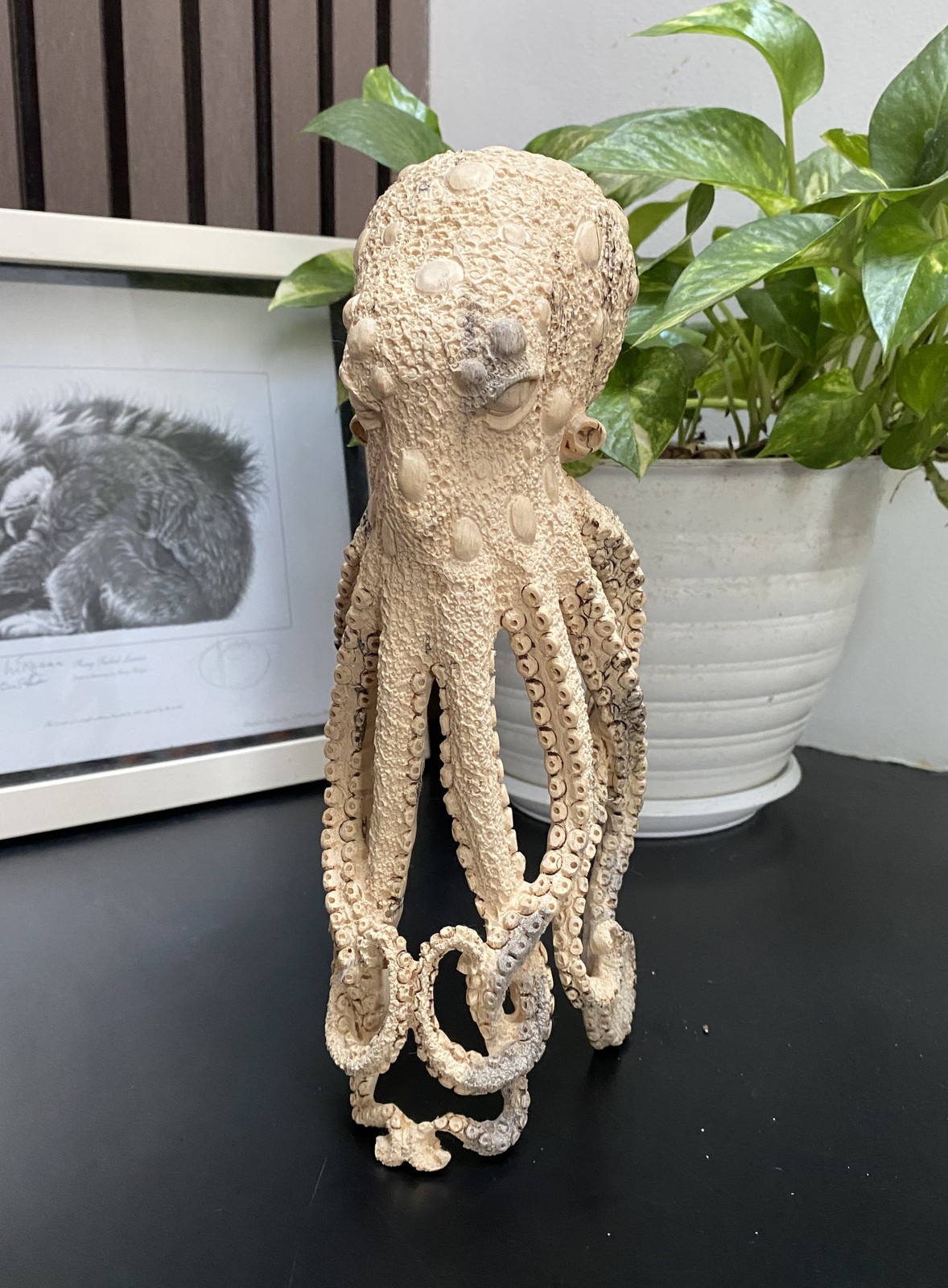 Unique 10 inch Octopus Carved Wooden Statue Carving Carved Octopus Skull