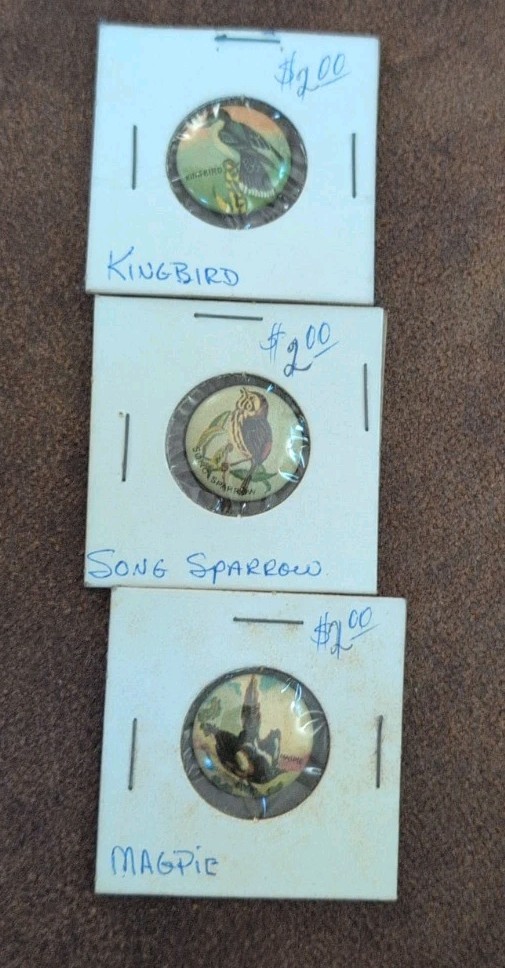 Vintage 1920s Chicago Bird Button Lot Of 3 Magpie Kingbird SongSparrow geraghty