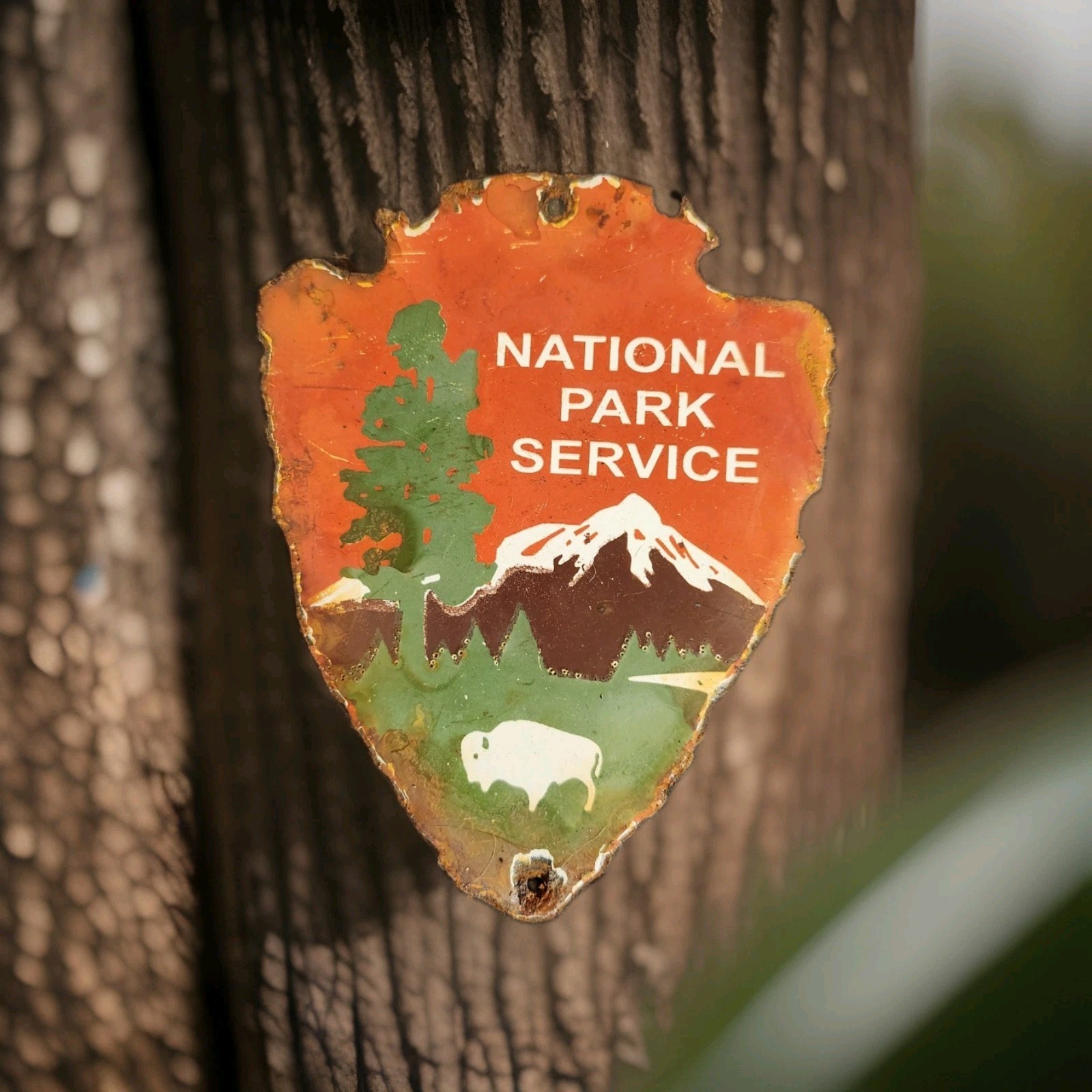 Vintage National Park Service Porcelain Sign Camping Hunting US Forestry Service
