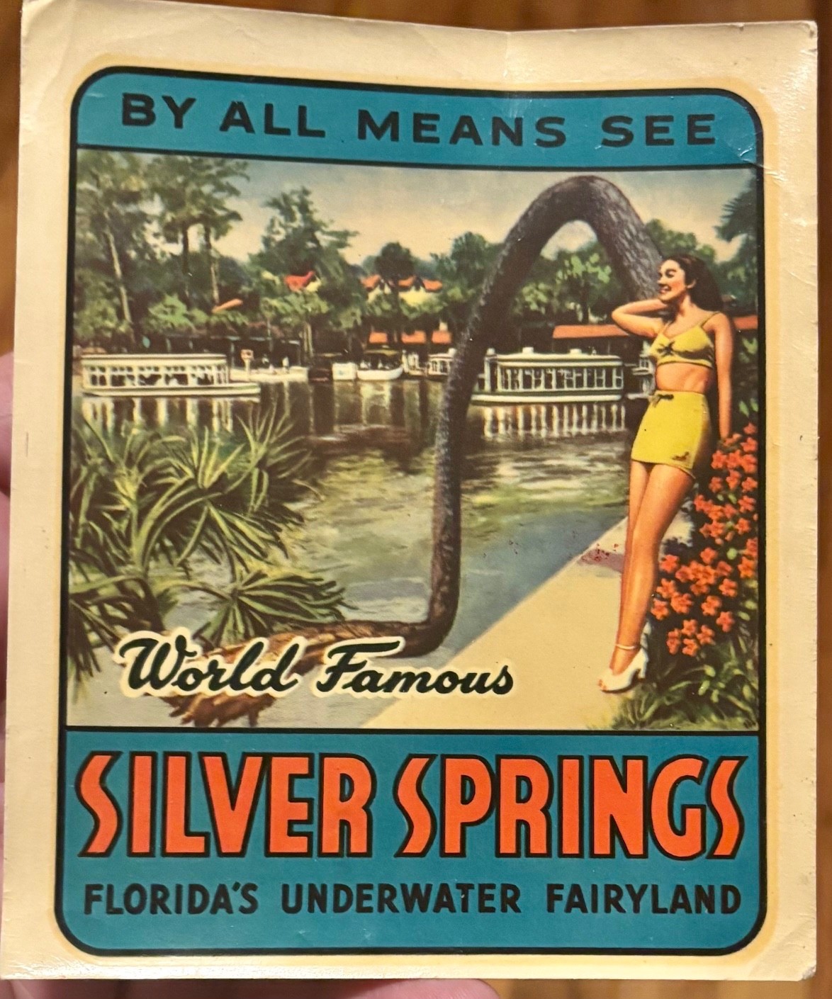Vintage 1950s Silver Springs Florida Large 4.5 x 4 inch Souvenir Decal