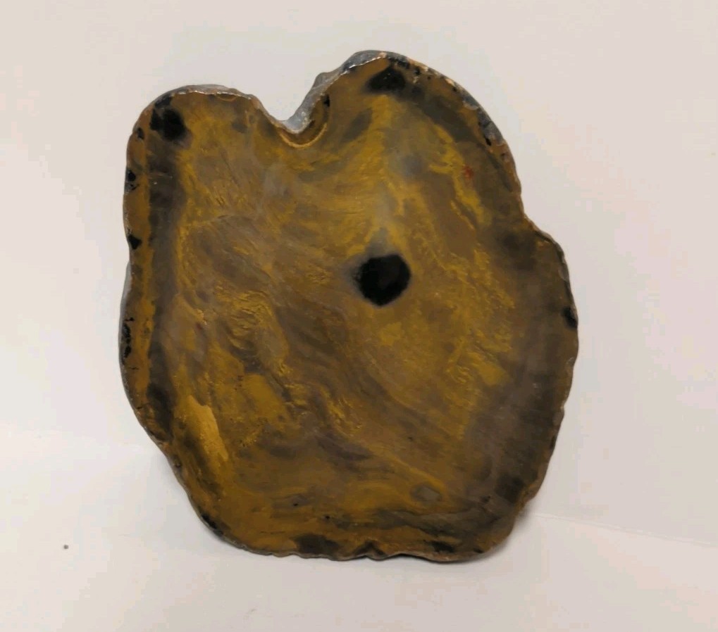 Petrified Wood Polished Slab 8 ounces 4