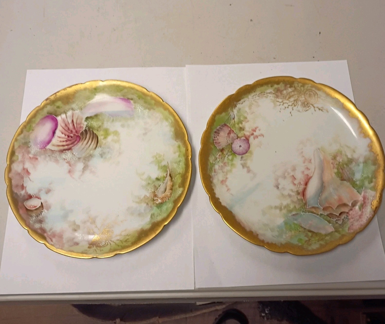 Jpl France limoges hand Painted Shells & Gold Trim Rare Plate Pair