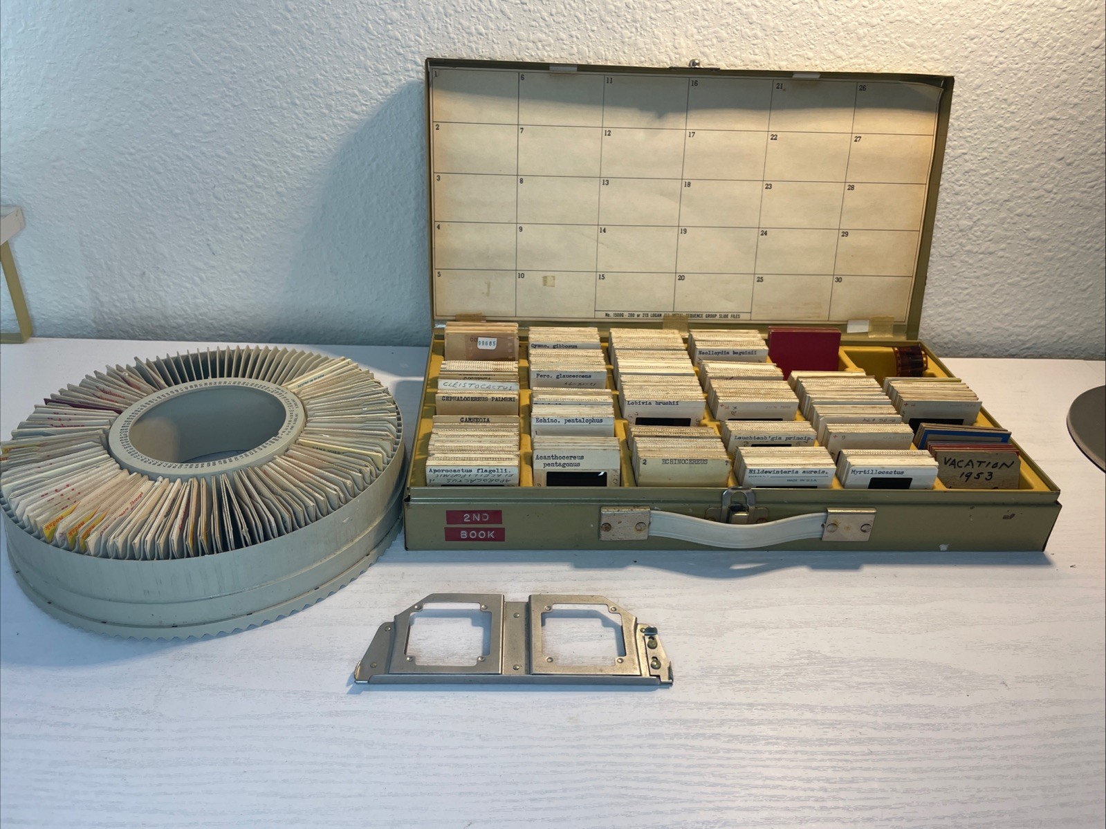 Vintage 35mm Cactus Botanical Slide Archive w/ Carousel & 600+ Slides 1969-77