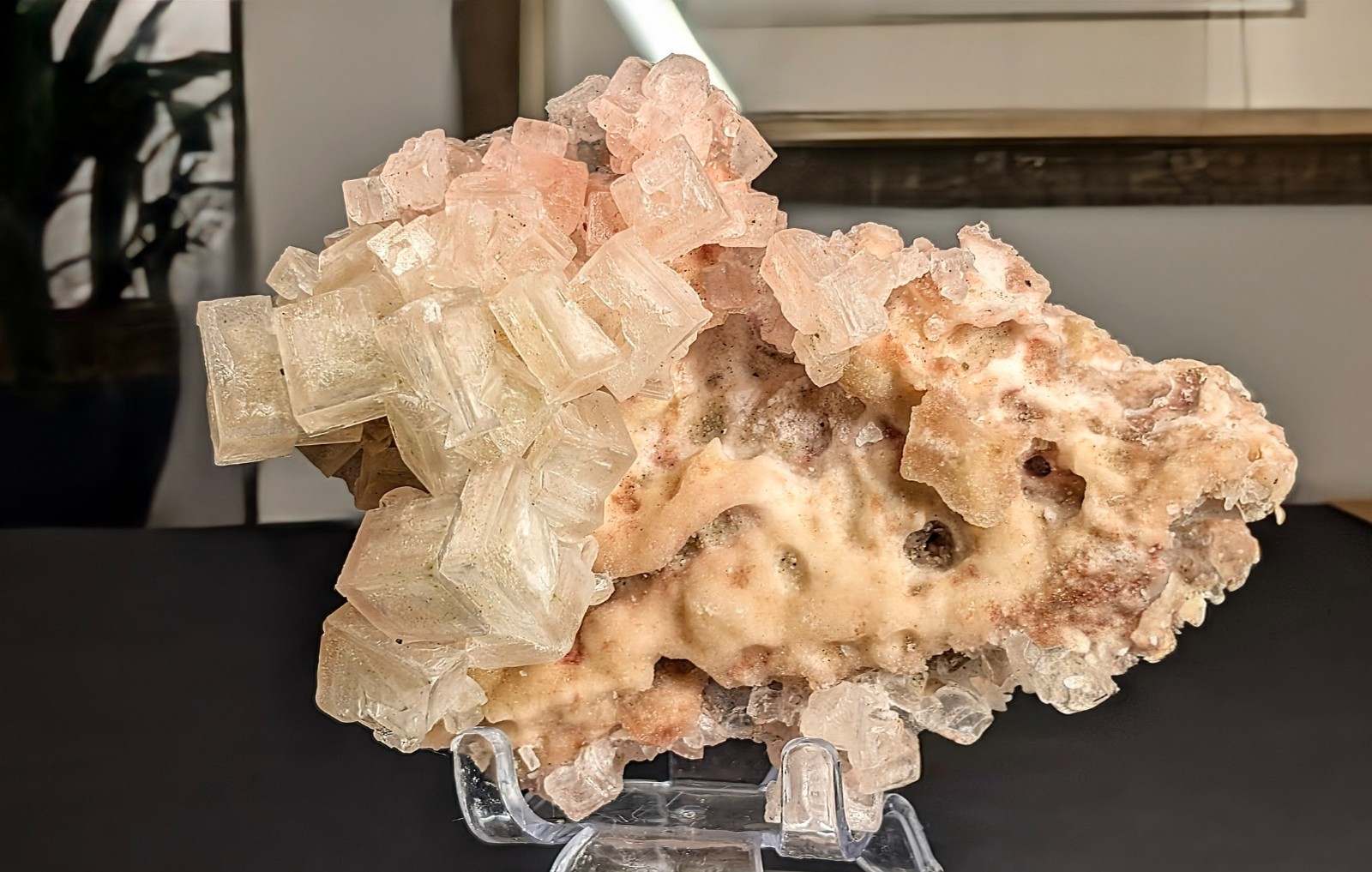 Rainbow Halite Crystal Cluster on Matrix; Pink Yellow Ombre – Searles Lake, CA