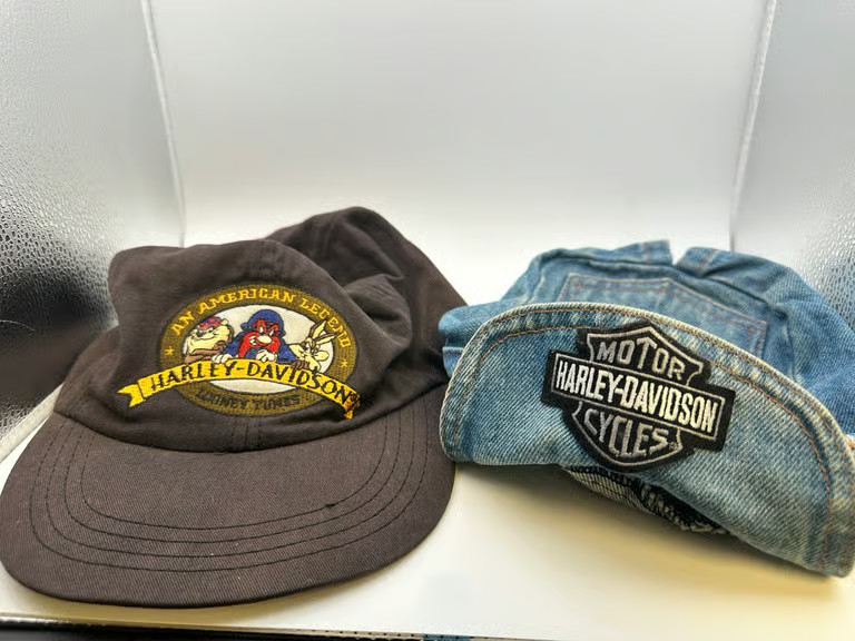 Vtg 1991 Harley Davidson Looney Tunes Hat Bugs Taz Yosemite Sam NWT USA
