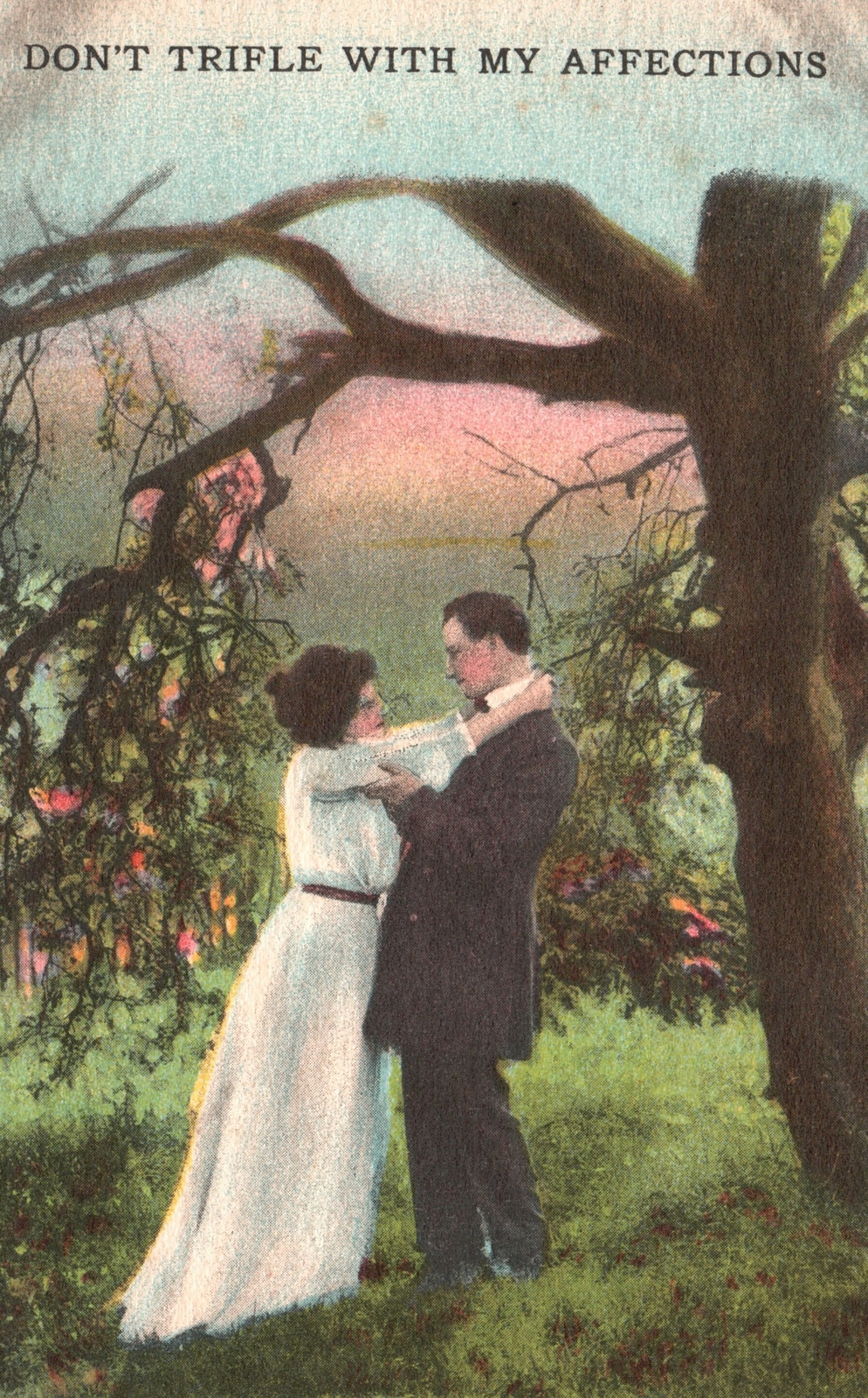 Don\'t Trifle with my Affections Sweet Lovers Romance Art Antique Postcard 1914