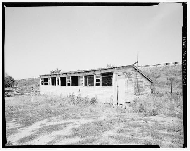 1. VIEW CHICKEN COOP, LOOKING NORTHEAST. - Richard M. Fairbourn Farm, Chicken