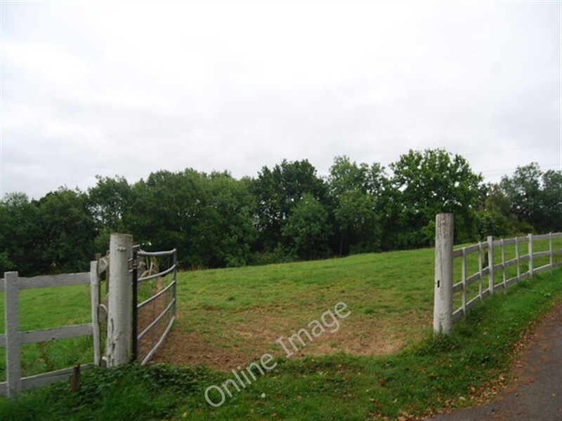 Photo 6x4 Gate into The Gallops, Knowles Bank Crockhurst Street The farm  c2009