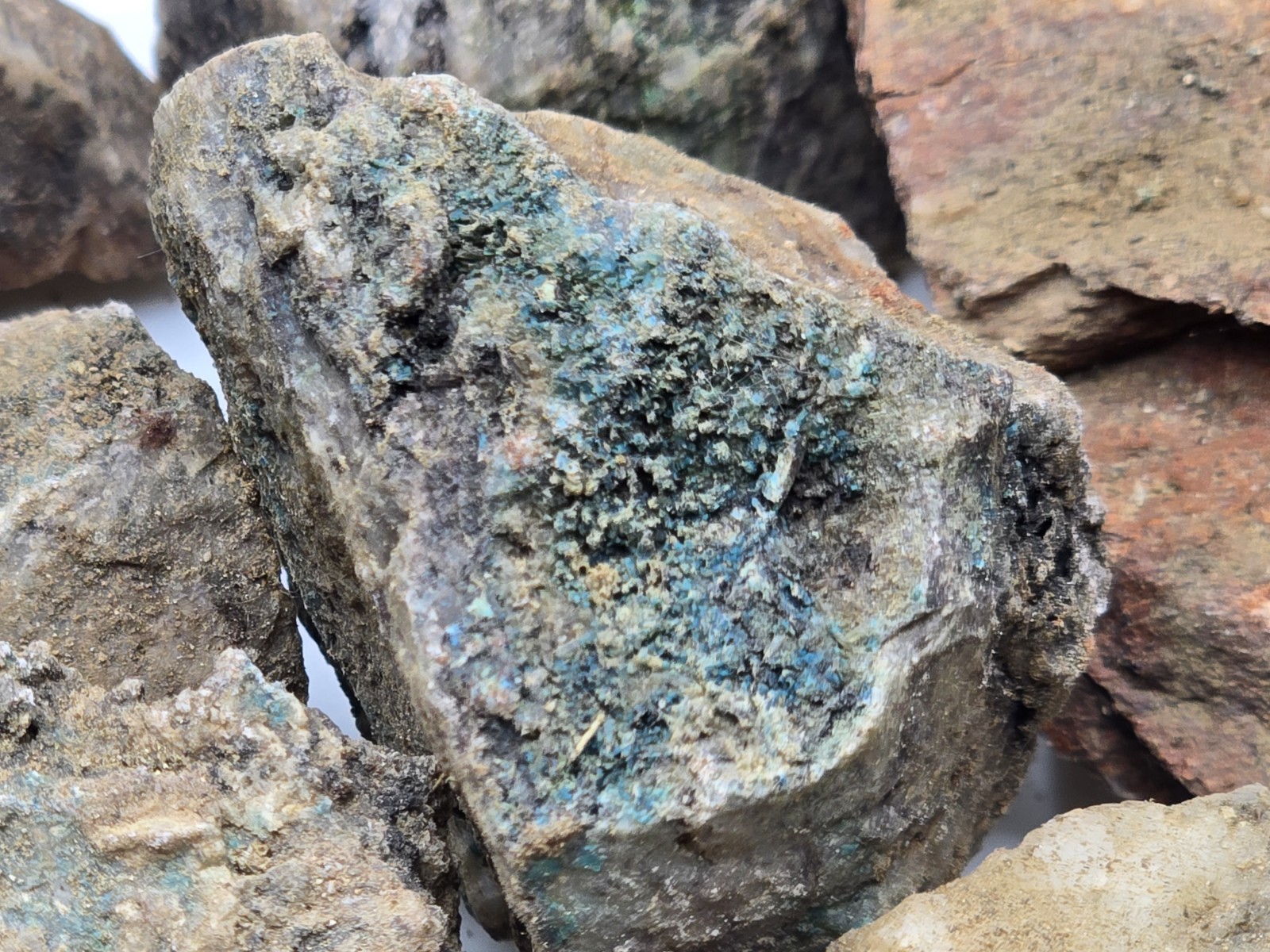 10+ lb Hard Rock Gold, Silver, Copper, Platinum, Ore from Nevada Mine Blind Grab