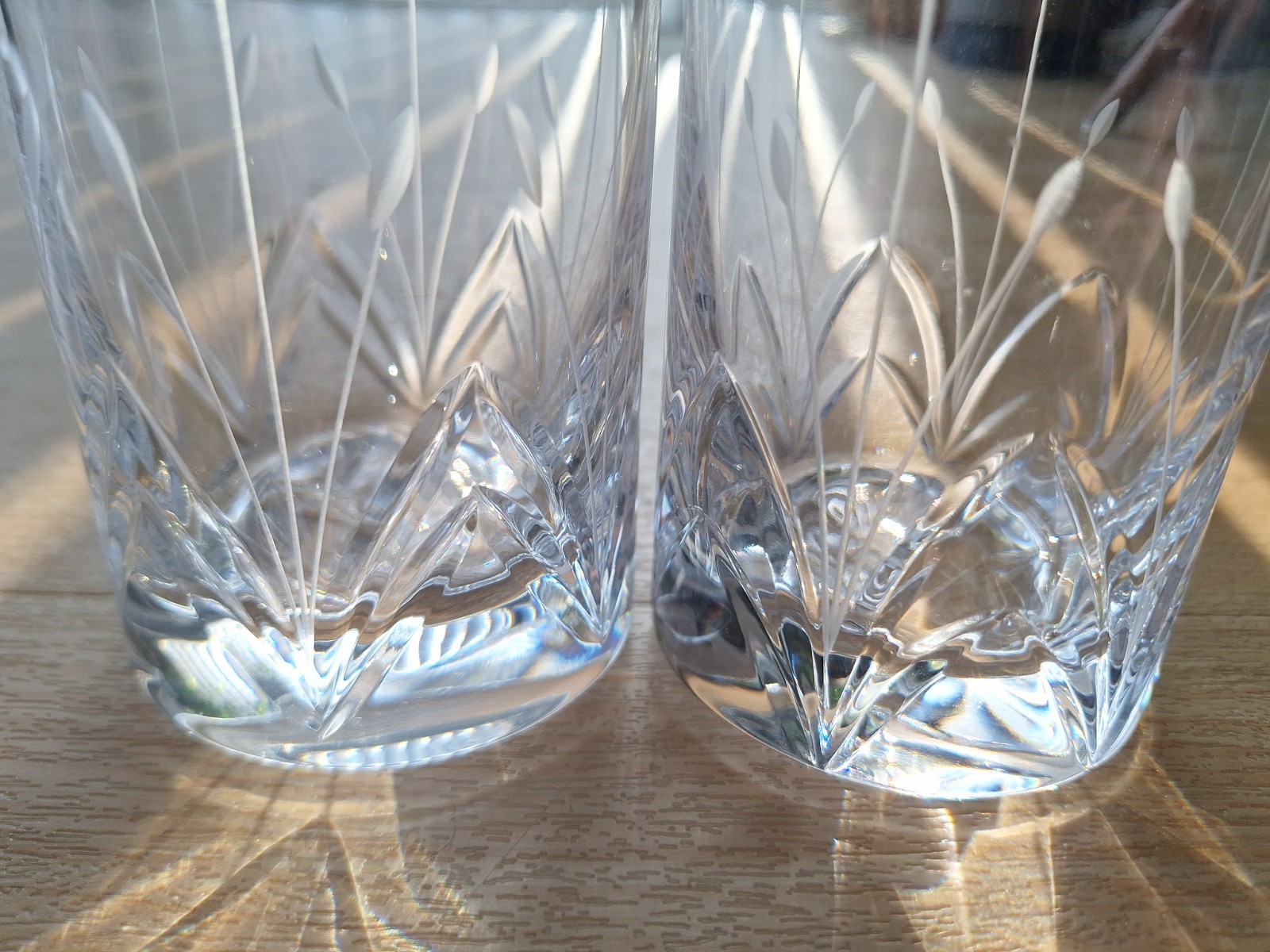 2 Rare Mikasa Petite Points Highball Cut Crystal Glass Flowers Grass
