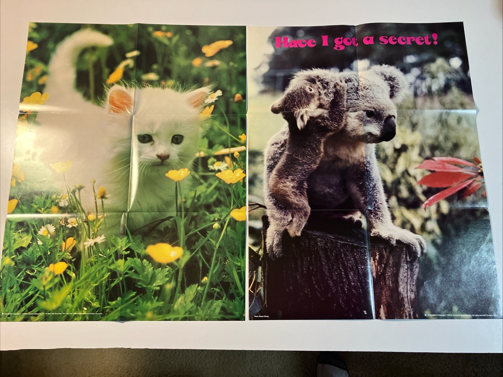 1979 1980 Lot Of 2 Scholastic Poster Koala White Cat Kitten Unused NM 19