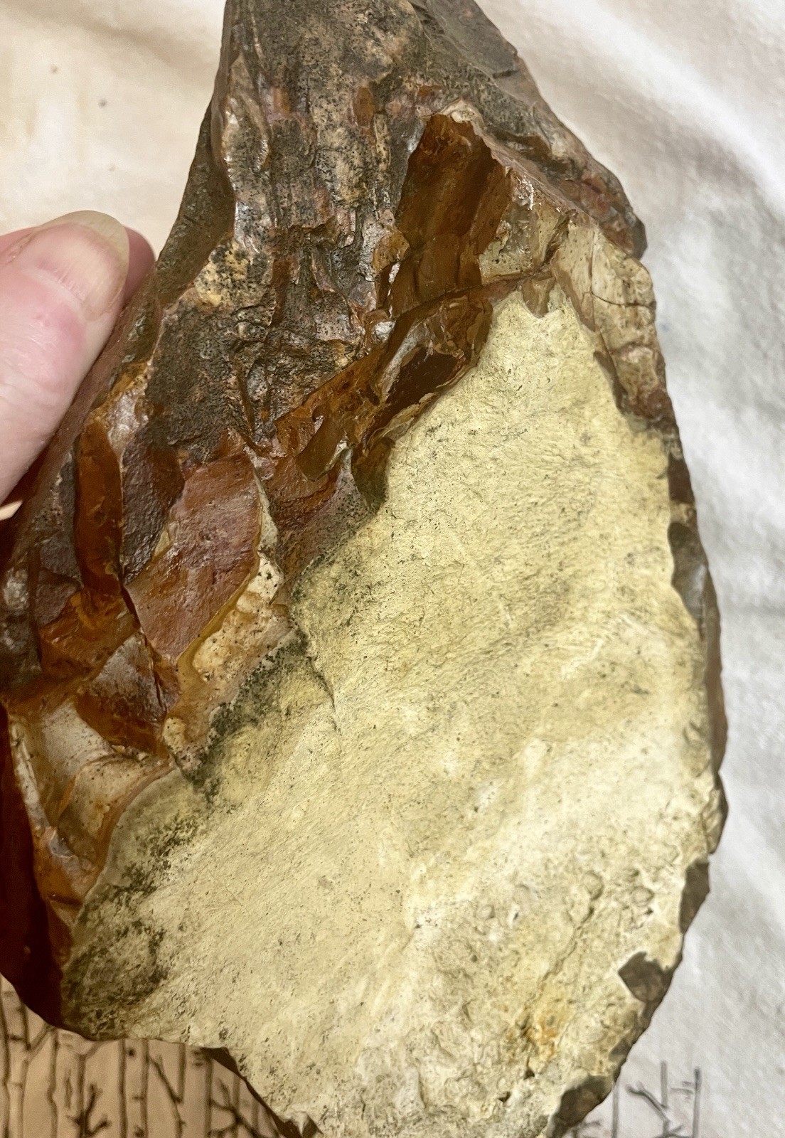 10 lb Biggs Picture Jasper  Lapidary Rough from Biggs, Oregon