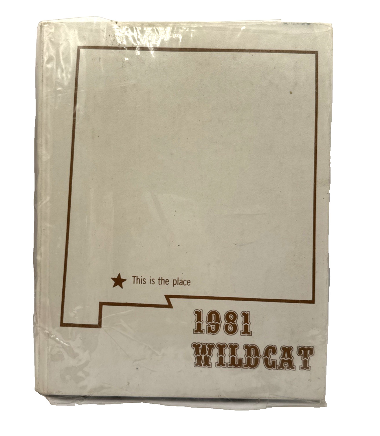 Original 1981 Yearbook: Deming High School, Deming, New Mexico