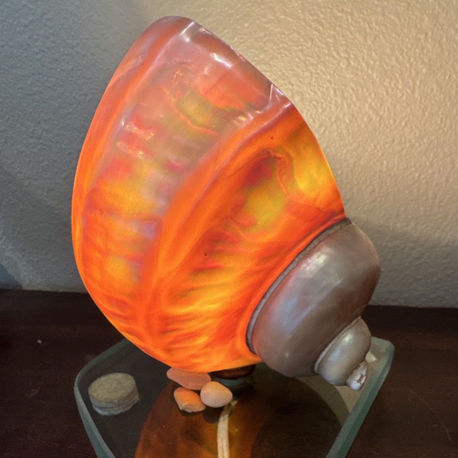 MCM Sea Shell Lamp Loose Fit Design One of a Kind