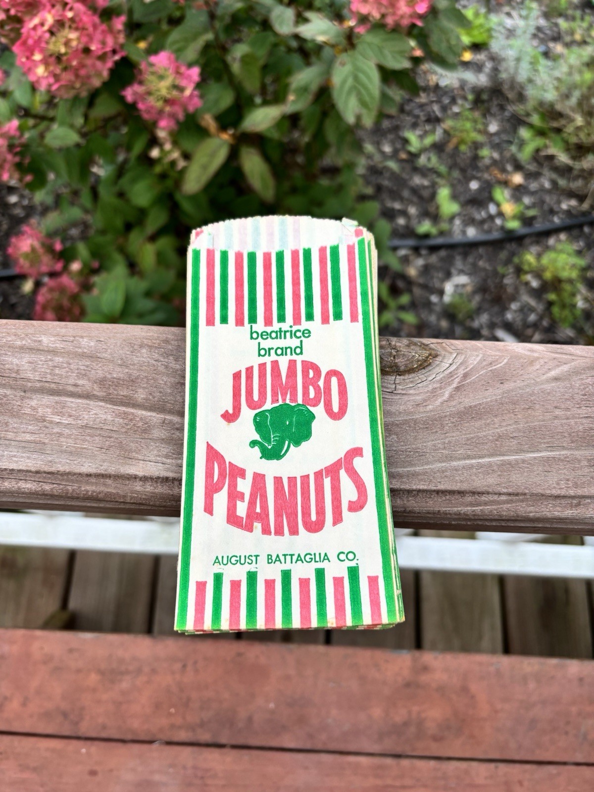 Vintage Beatrice Brand Jumbo Peanuts Paper Bags August Battaglia Co Chicago (25)