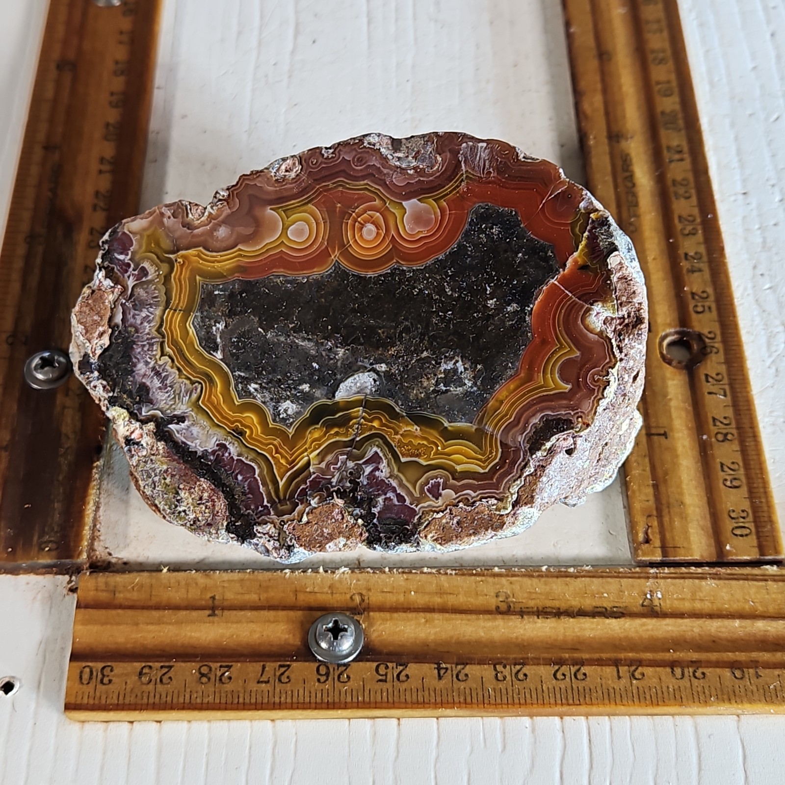 laguna agate polished specimen. Gorgeous colors, sharp banding. 1LB 0.2OZ.