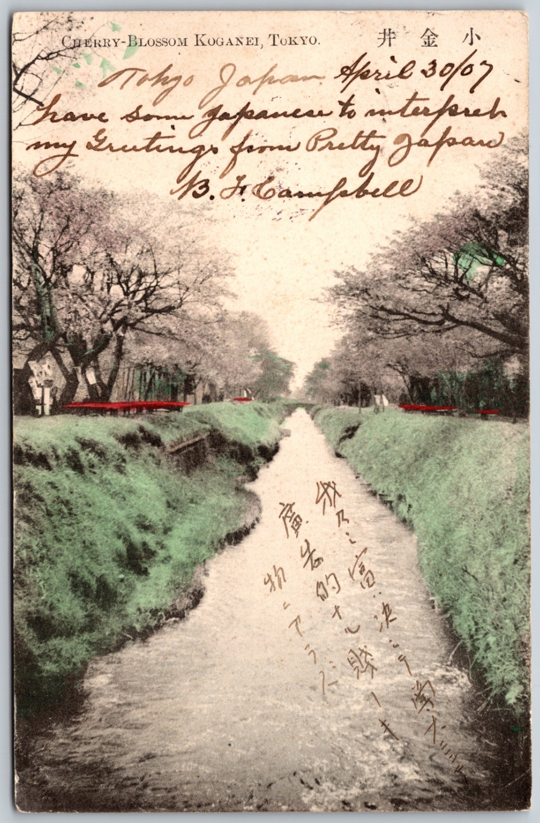 1907 Cherry Blossom Koganei Tokyo River Scene ANTIQUE Postcard 9838