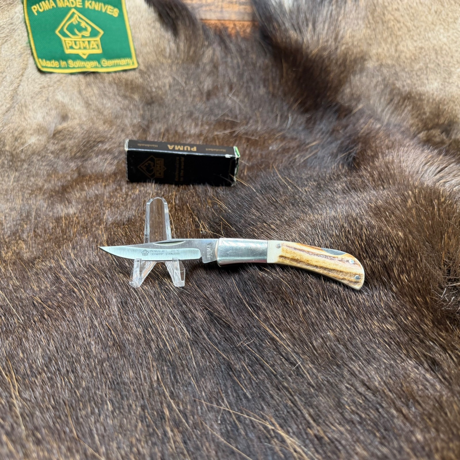 2000 Puma Gent Knife With Stag Handles Mint In Black Factory Box