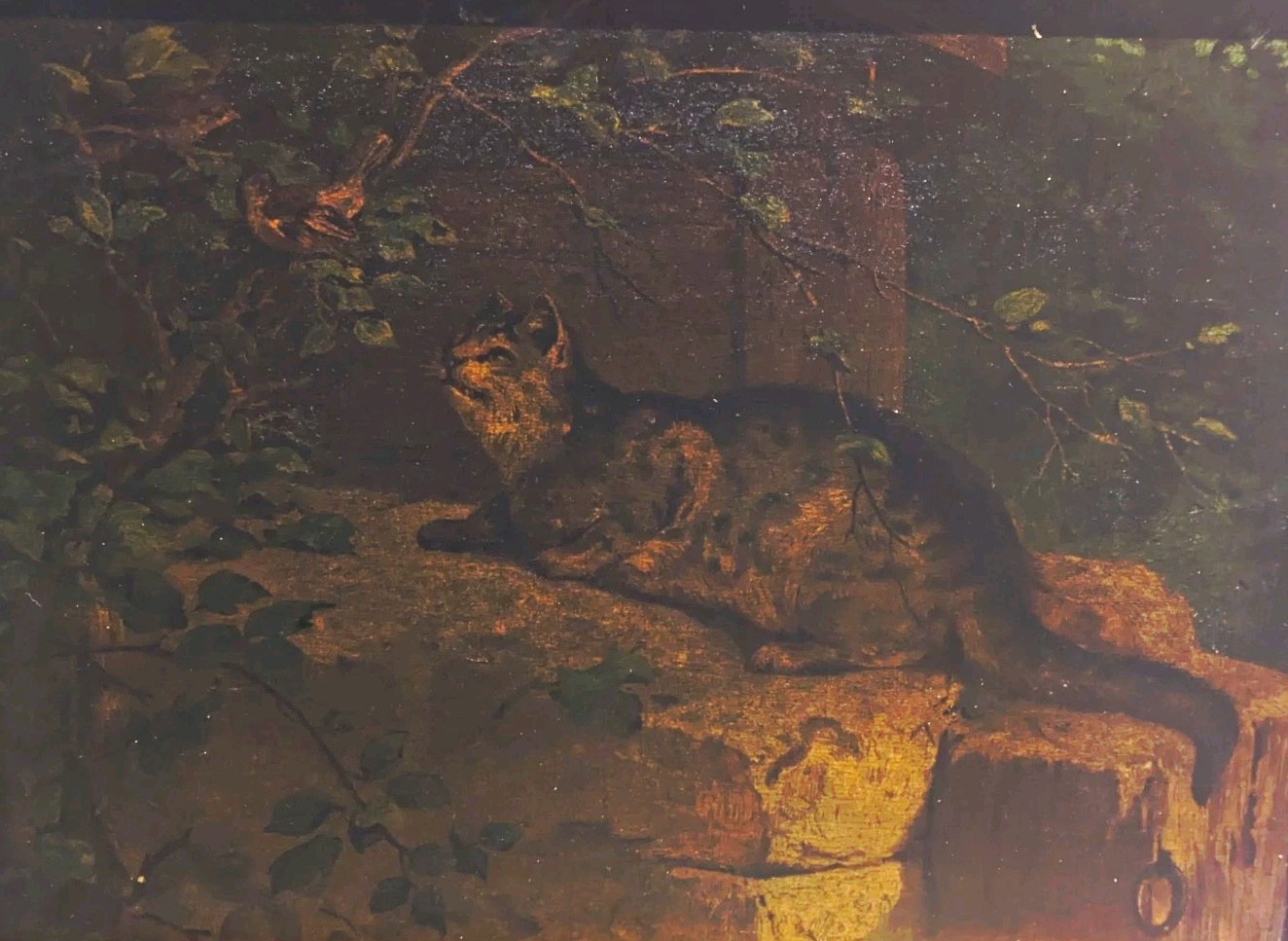 Victorian Oil Painting Wooden Panel Cat Stalking Birds Sparrows Framed Antique