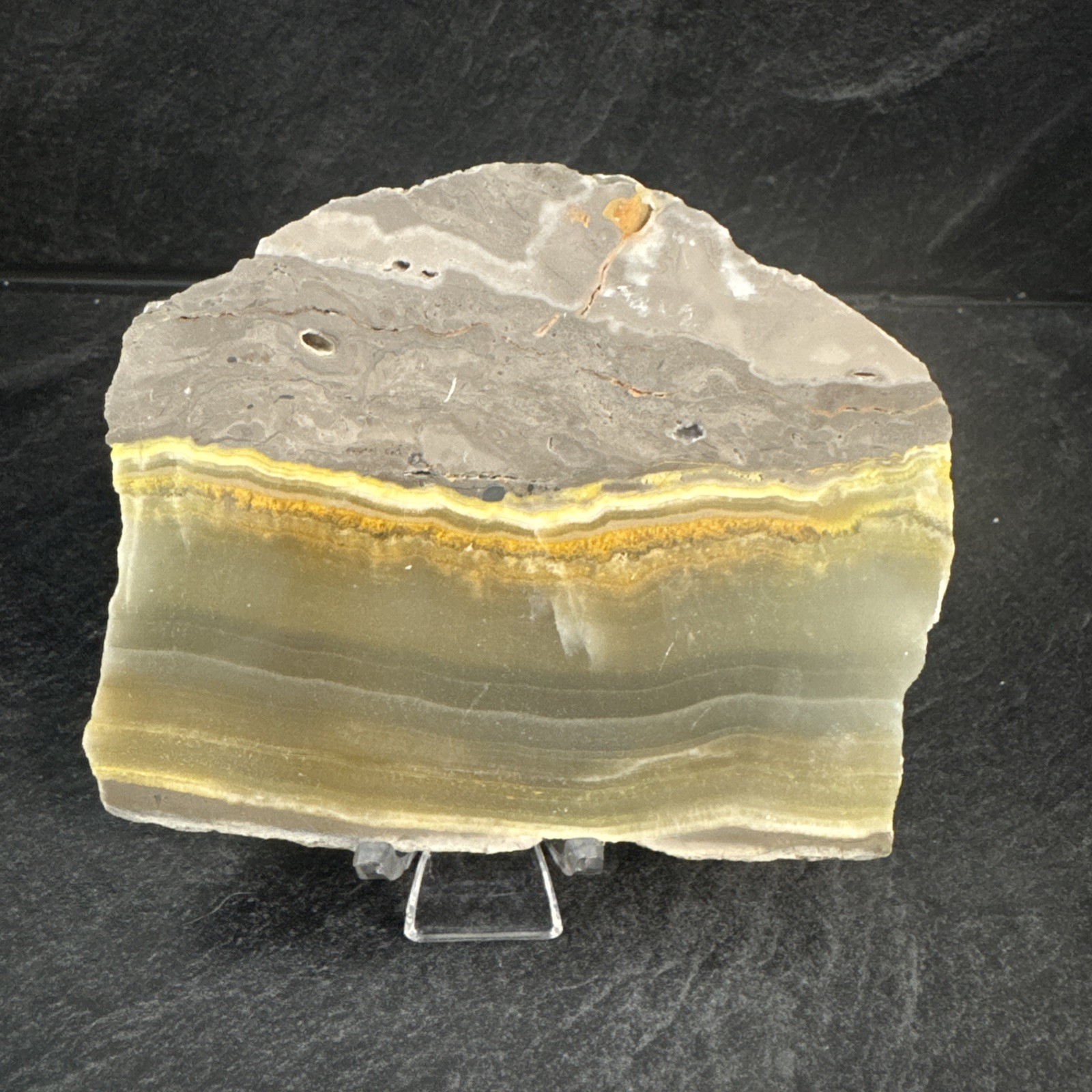 Bumble Bee Jasper Crystal Slab 166 Grams 4”