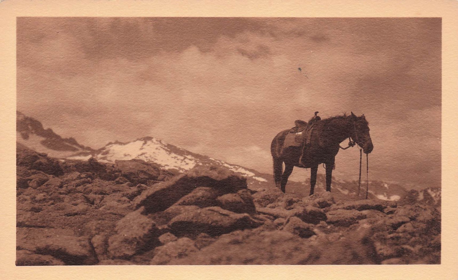 Longs Peak Rocky Mountains Colorado Horse Ride Enos Mills Sepia photograph 22A