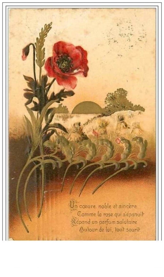Poppy Flowers No. 7 Poppy Grows In A Straw Field Decor