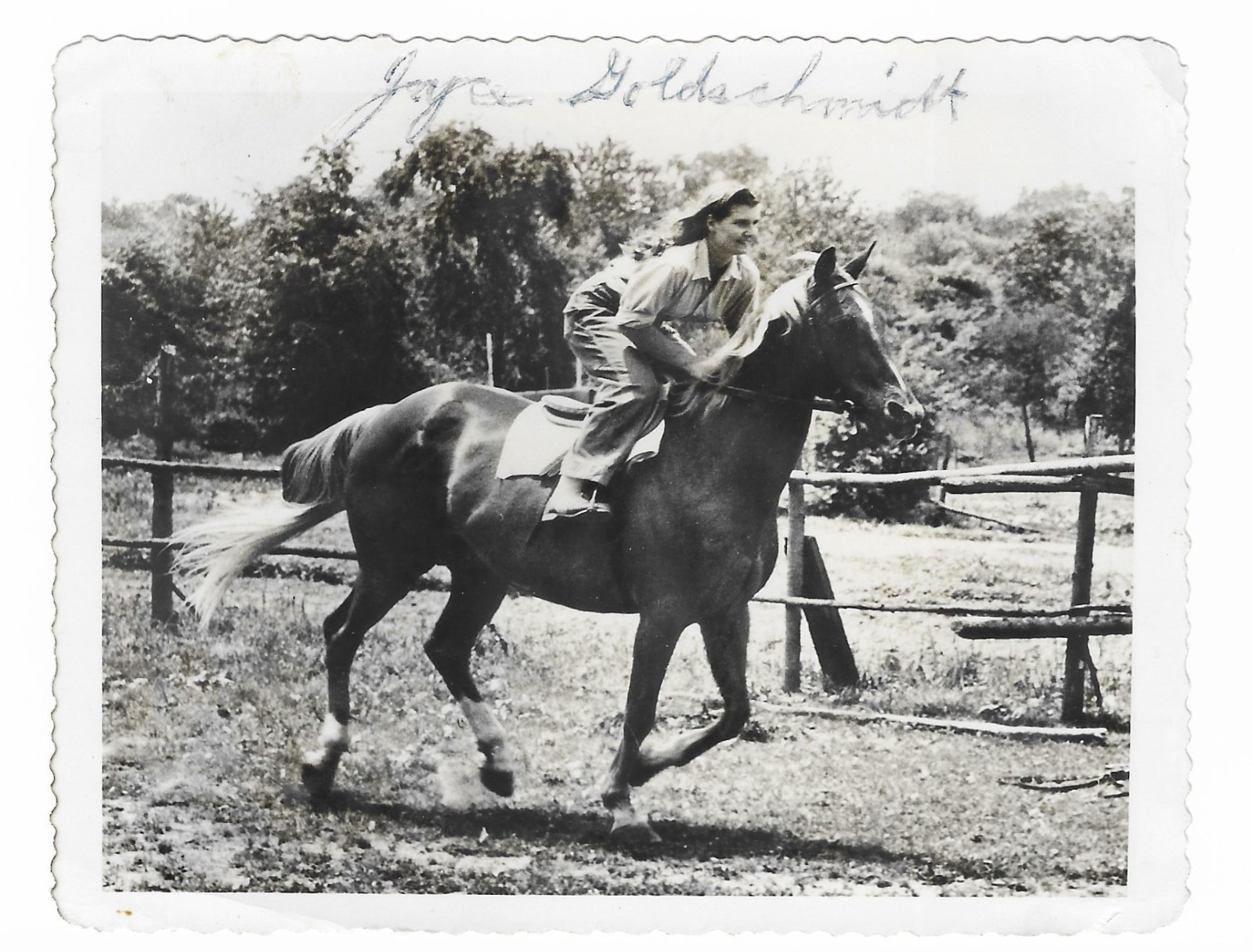 Joyce Goldschmidt Bachner Vintage Signed 5x4 BW Photos 1940s Equestrian Champion