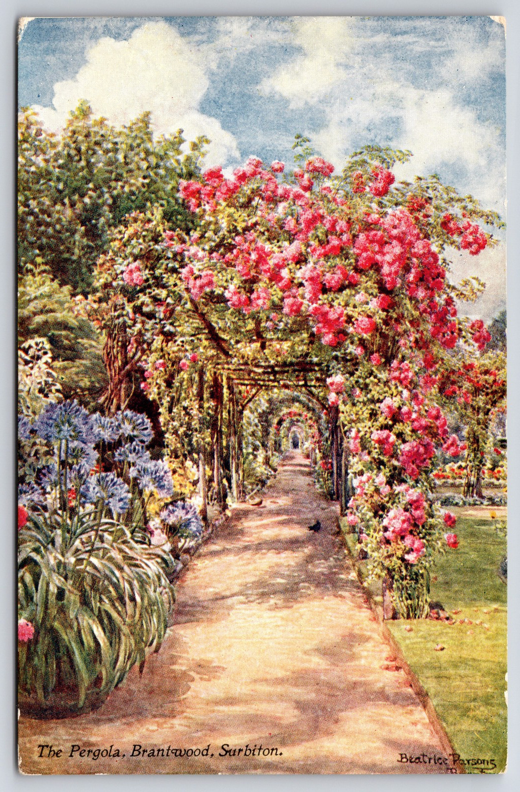 The Pergola Brantwood Surrey Beatrice Parsons Gardens England Postcard